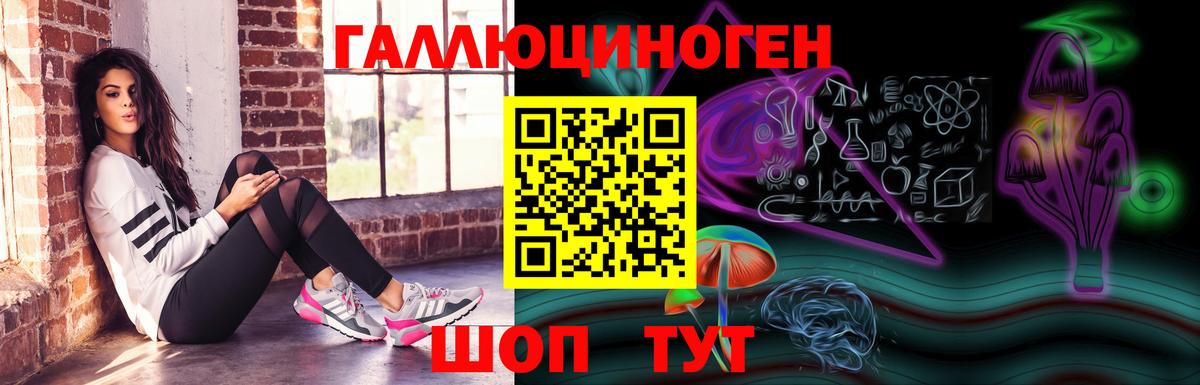 Галлюциногенные грибы Psilocybine cubensis Муравленко